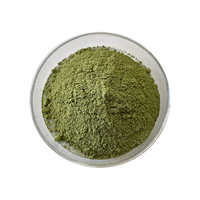 Green Tea Extract Green tea powder