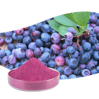 Blueberry Extract Blueberry Powder