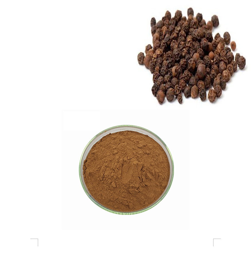 胡椒提取物 黑胡椒碱